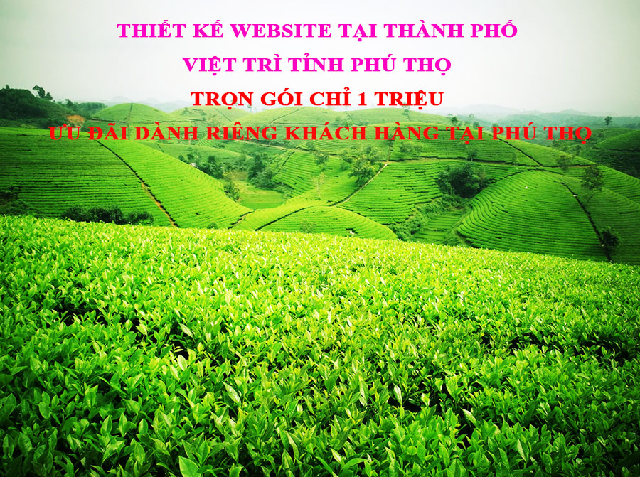 thiết kế web Phú Thọ